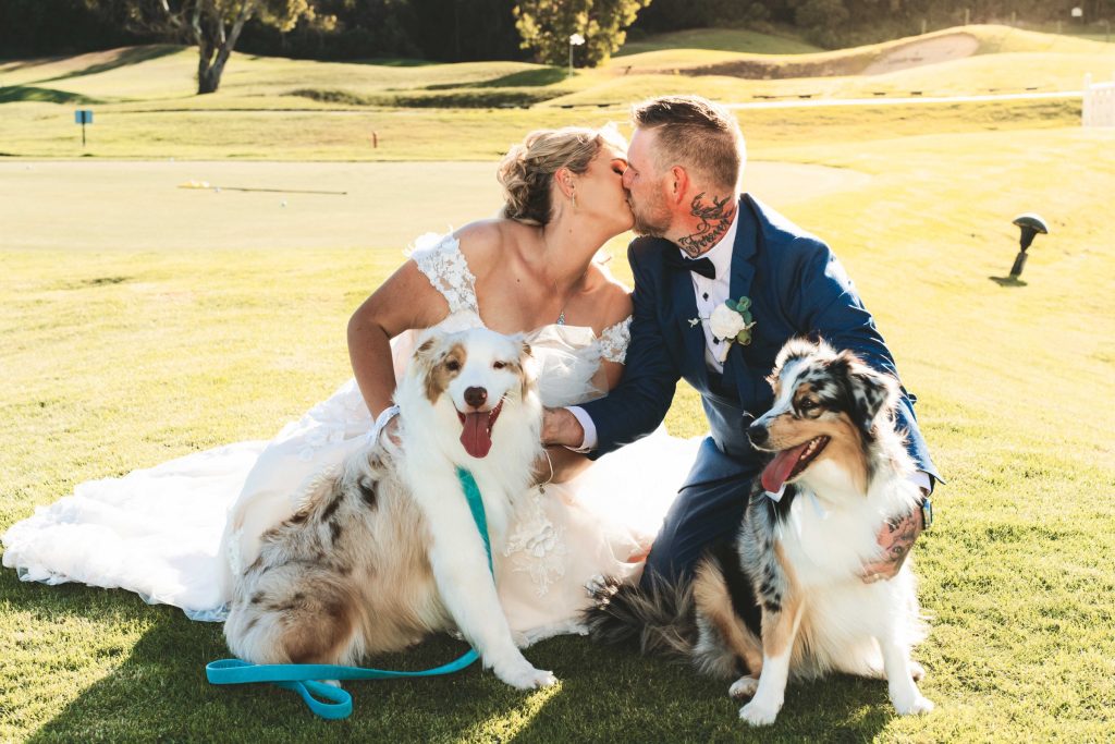 Wedding Celebration 4, photo 5 of 16, Melbourne wedding photography